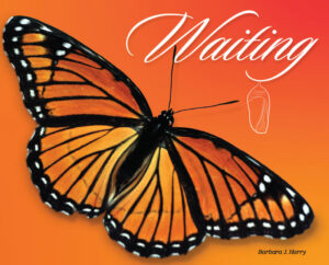Orange book cover featuring a monarch butterfly and chrysalis, symbolizing transformation and spiritual waiting.
