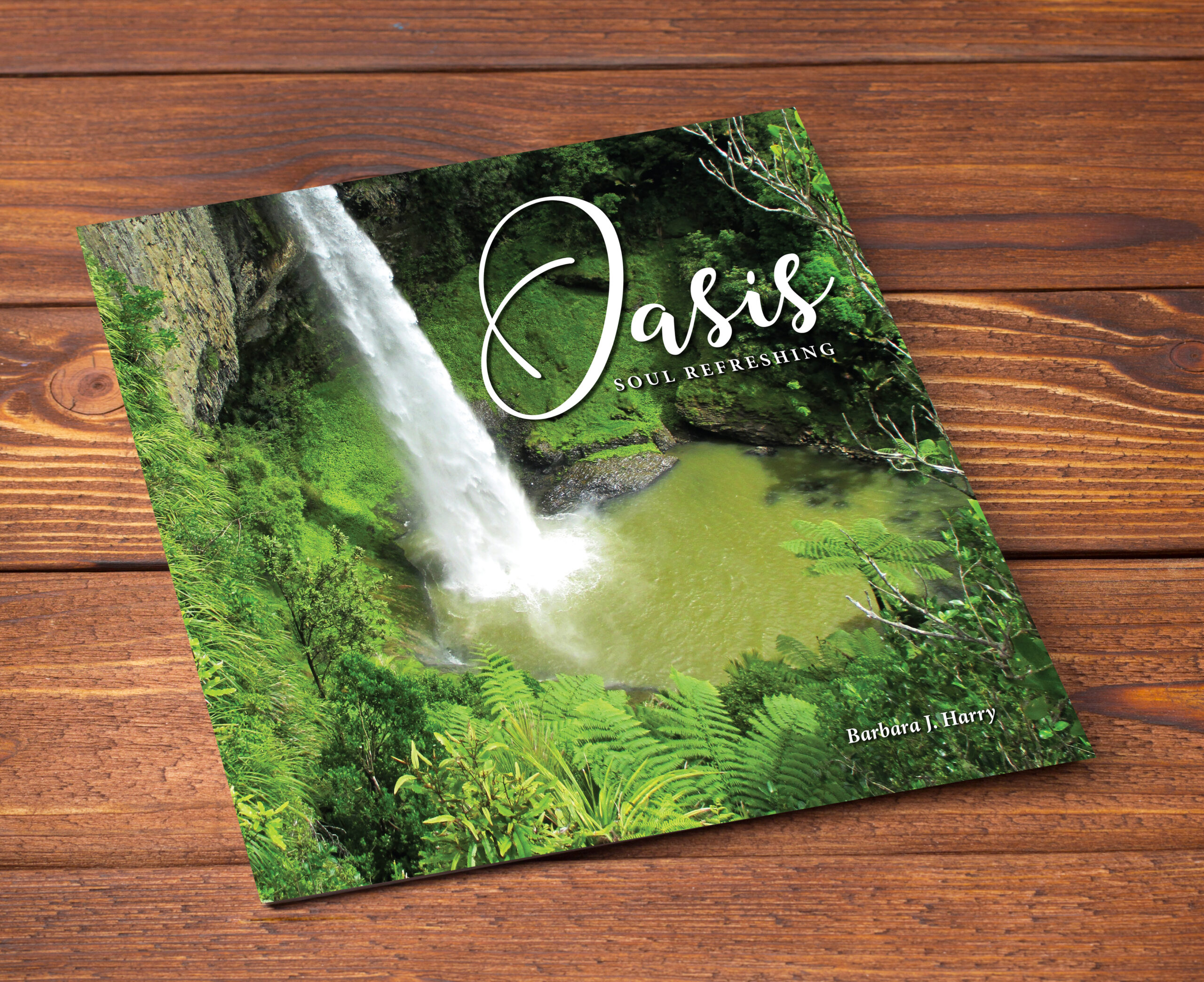Oasis: Soul Refreshing book by Barbara Harry resting on a natural wood surface, symbolizing spiritual renewal and contemplative rest.